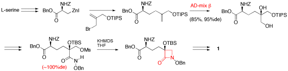 tabtoxinine-b-lactam