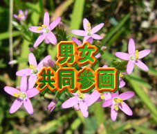 �j�� �����Q�� 