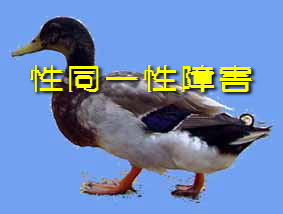 �����ꐫ��Q   