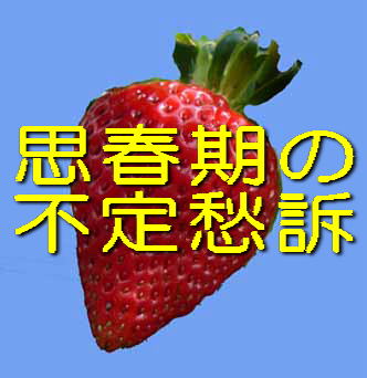 �v�t���� �s��D�i 