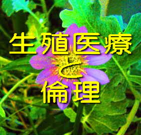 ���B��� �� �ϗ�