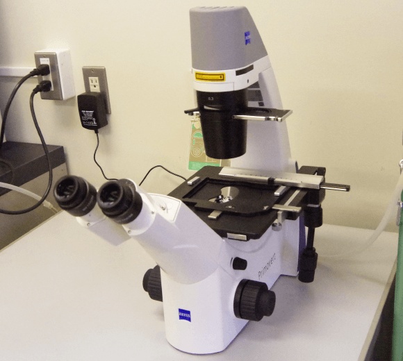 ZEISS社製 顕微鏡 Primovert, Stemi 305