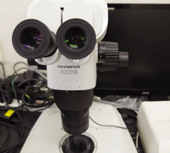 OLYMPUS社製 実体顕微鏡 SZX16