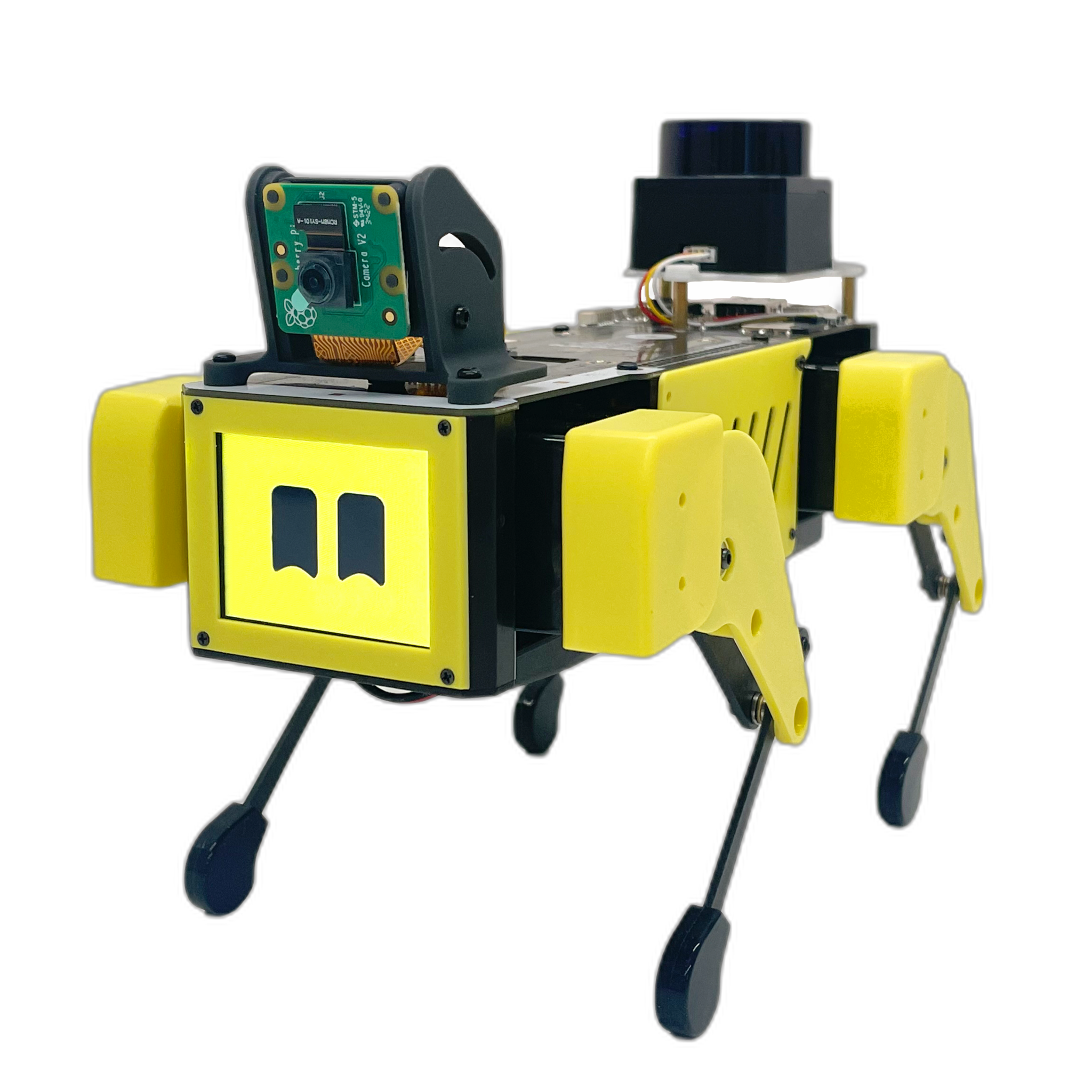 Heterogeneous Robot Team