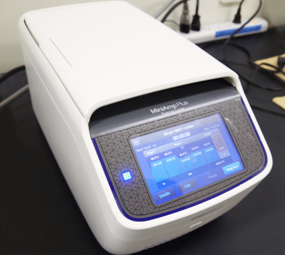 ThermoFisher Scientific社製 サーマルサイクラー MiniAmp Plus