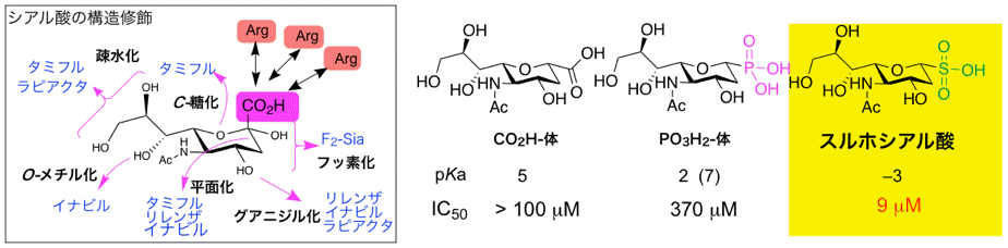 sialic acid derivatives
