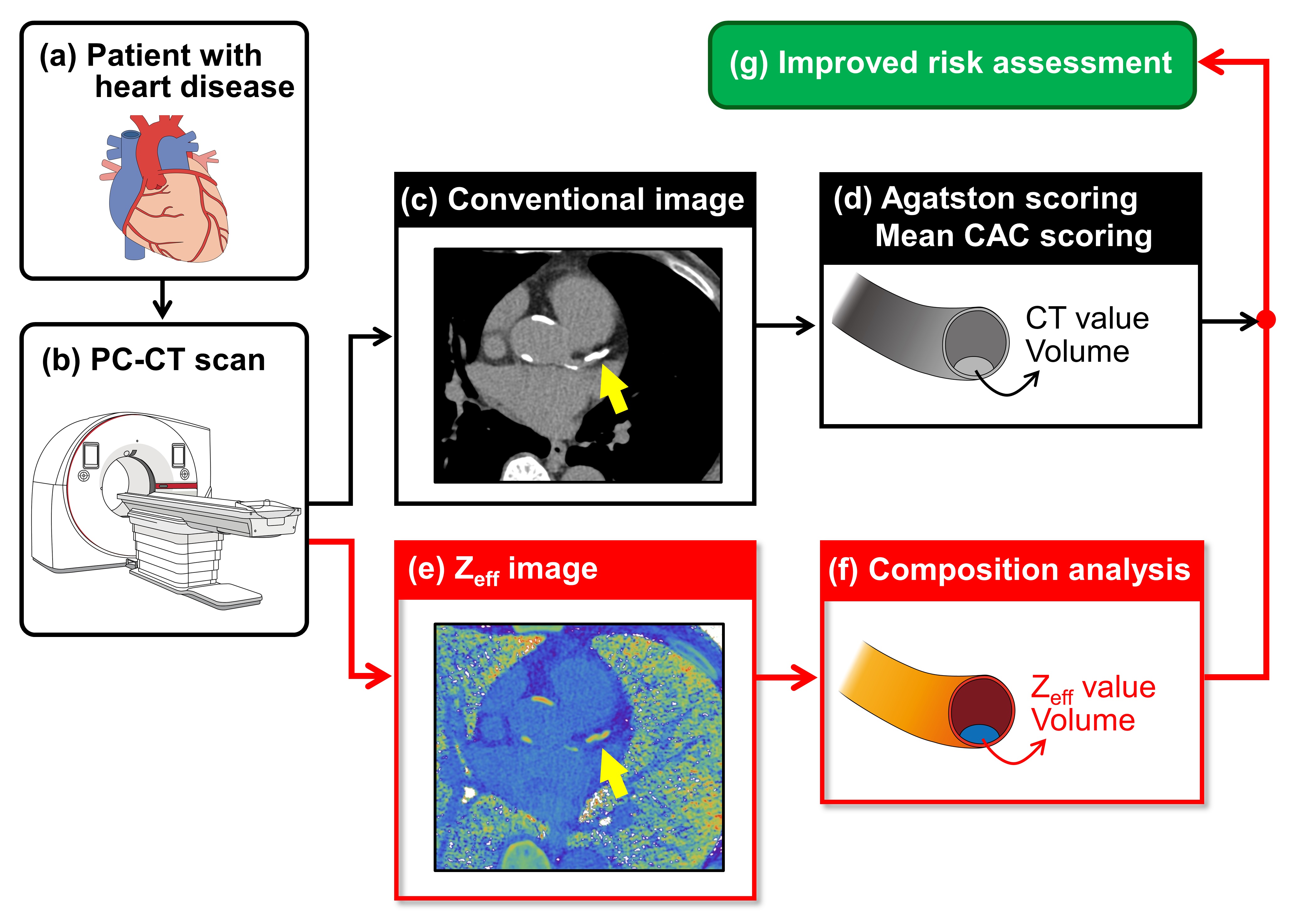 Plaque evaluation workflow