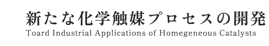 新たな化学触媒プロセスの開発